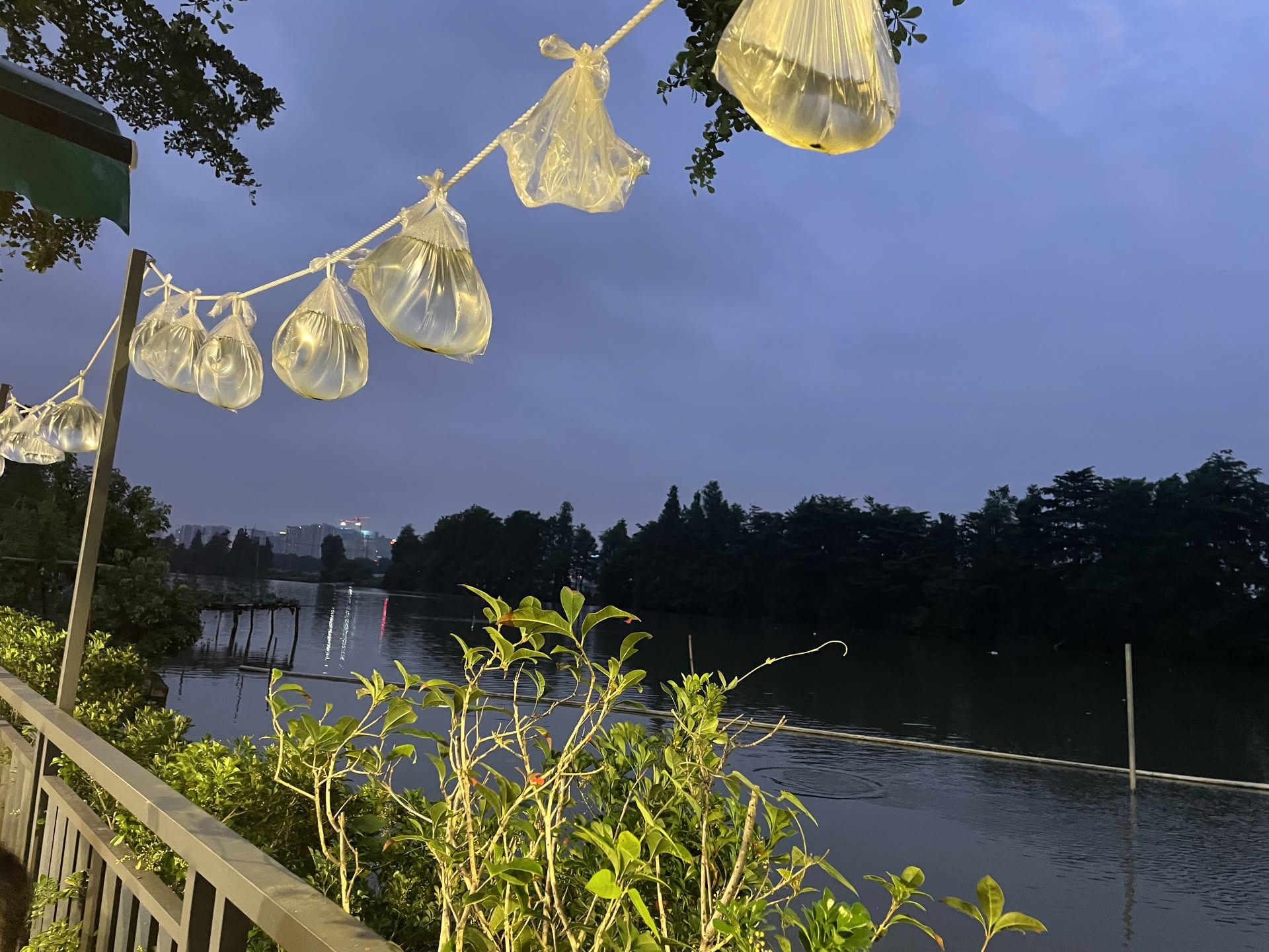 河边